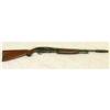 Image 1 : WINCHESTER SHOTGUN