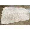 Image 1 : COWHIDE RUG