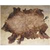 Image 1 : BUFFALO ROPE