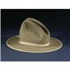 Image 1 : WESTERN WEAR STETSON BEAVER HAT