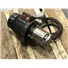 Image 2 : WALRUS PUMP *NO TAG*