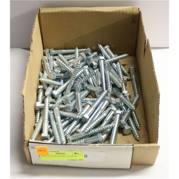 TRAY LOT OF LAG BOLTS 3/8 X 3