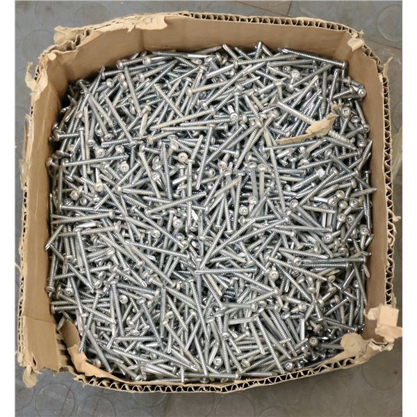 BOX FULL OF PAULIN SCREWS