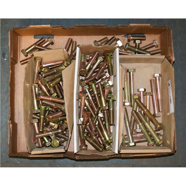 FLAT LOT OF ASSORTED HEX HEAD BOLTS