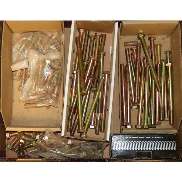 FLAT OF ASSORTED HEX HEAD CAP SCREWS