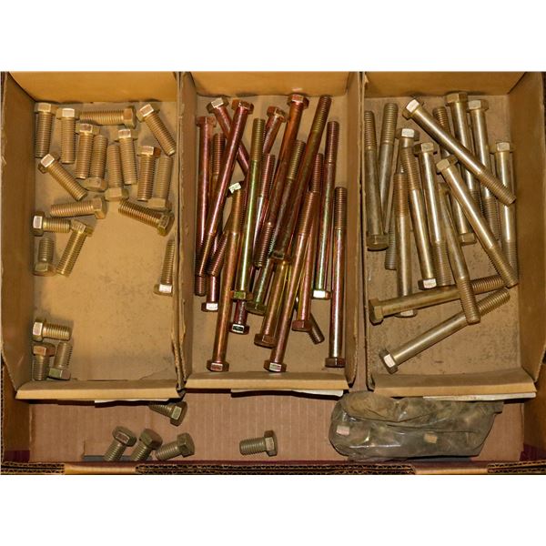 FLAT OF ASSORTED HEX HEAD CAP SCREWS