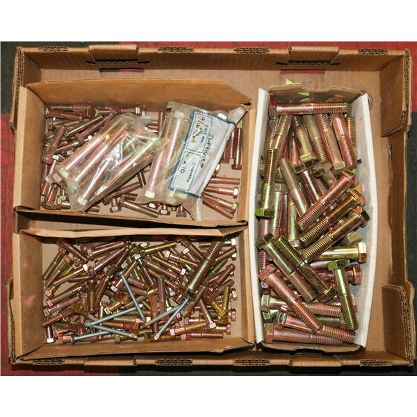 FLAT OF ASSORTED HEX HEAD CAP SCREWS