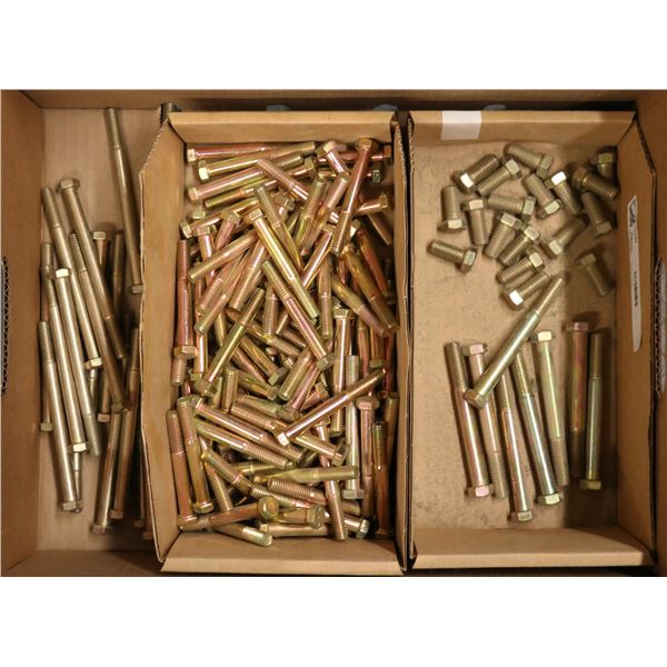 LOT OF ASSORTED HEX CAP SCREWS