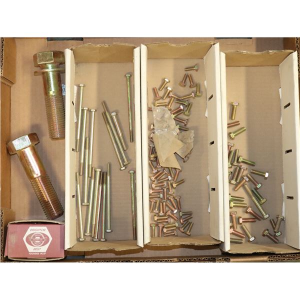 FLAT LOT OF ASSORTED HEX HEAD CAP SCREWS