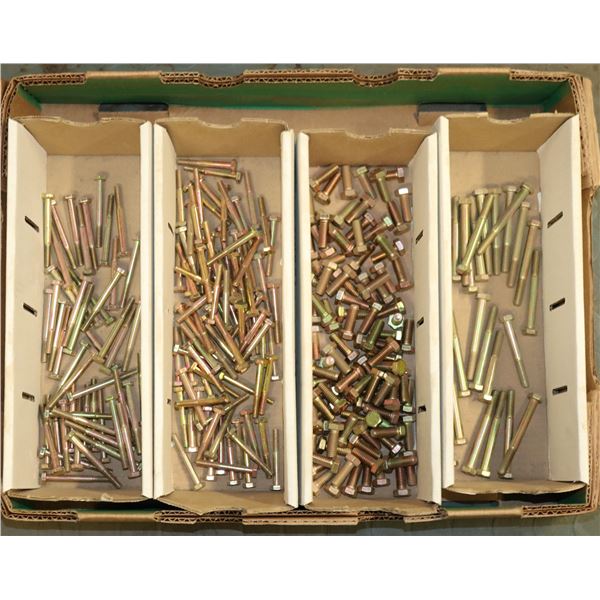 FLAT LOT OF HEX HEAD CAP SCREWS