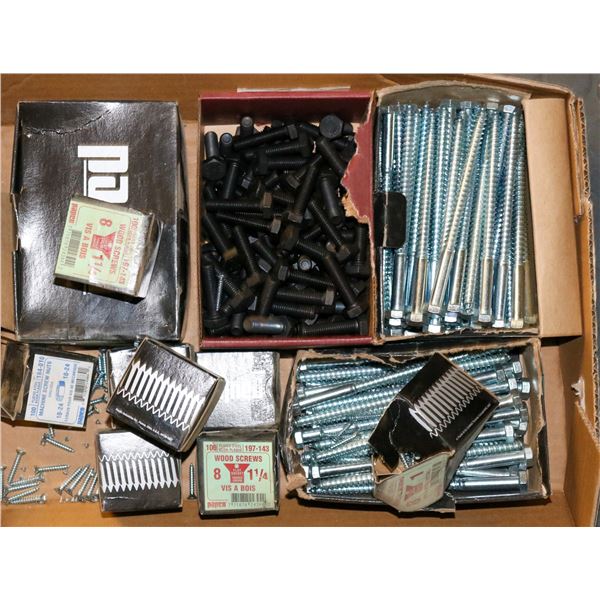 TRAY LOT OF ASSORTED SCREWS & BOLTS