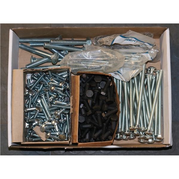 TRAY LOT OF ASSORTED SCREWS & BOLTS