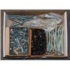 Image 1 : TRAY LOT OF ASSORTED SCREWS & BOLTS