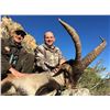 Image 2 : Beceite Ibex management hunt for two hunters with Corju Hunting of Spain.