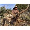 Image 3 : Beceite Ibex management hunt for two hunters with Corju Hunting of Spain.