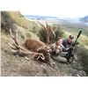 Image 2 : Red Stag hunt in New Zealand with Track and Trail Safaries on the South Island.