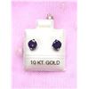 Image 1 : 10K WHITE GOLD AMETHYST (1CT) EARRINGS