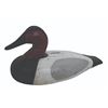 Image 1 : Canvasback Decoy Bank