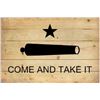 Image 1 : Come and Take It Wood Flag