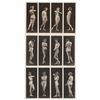 Image 7 : Albert Arthur Allen 'The Female Figure' Photograph Suite
