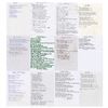 Image 1 : Oasis: Noel Gallagher Handwritten Lyrics for Definitely Maybe