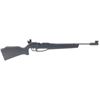 Image 1 : Daisy’s PowerLine®  953 Cadet Air Rifle with Competition Sights, .177 Cal, <500 fps, New