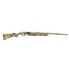 Image 1 : Charles Daly Semi Auto 12 Ga Shotgun