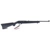 Image 1 : Ruger 10/22 CO2 Air Rifle, New