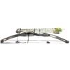 Image 1 : Bear  "Black Bear" Compound Bow with Quiver and Arrows.