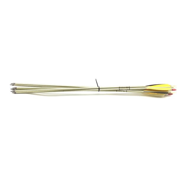 Easton 2219 Aluminum Arrows X 6