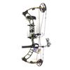 Image 1 : Quest Thrive Bow, RH 29/60, Ghost Green/ Sub Alpine, New