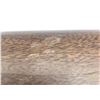 Image 3 : Revolution Armory MILE17BR Semi-Auto Shotgun, 28" Barrel, 12 Ga. 3", Walnut Stocks