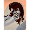 Image 1 : Steve Kaufman, Hand Painted Silkscreen "Elvis"