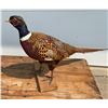 Image 3 : PHEASANT MOUNT