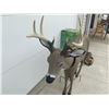 Image 11 : PRIMOS HUNTING DEER DECOY