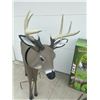 Image 8 : PRIMOS HUNTING DEER DECOY