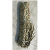 Image 3 : 4'X4' NATURAL GRASS MAT