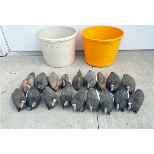 DUCK DECOYS