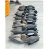 Image 3 : DUCK DECOYS