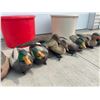 Image 6 : MOSTLY MALLARD DUCK DECOYS