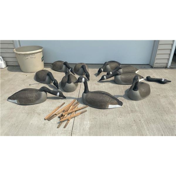 A GAGGLE OF GEESE DECOYS