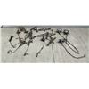 Image 1 : FOOTHOLD TRAPS