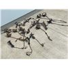 Image 2 : FOOTHOLD TRAPS