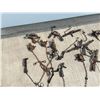 Image 3 : FOOTHOLD TRAPS