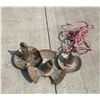 Image 3 : ANCHORS