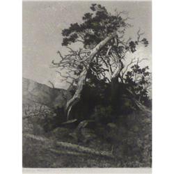 George Elburt Burr, Etching