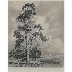 George Elburt Burr, Etching