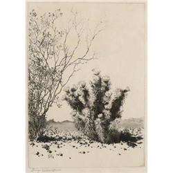 George Elbert Burr, Etching