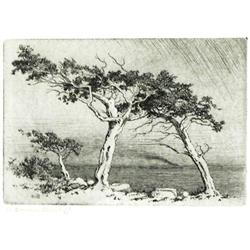 George Elburt Burr, Etching