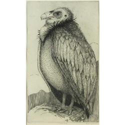 Peter Johnson, Etching